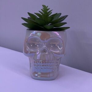 Skull with Fake Succulent